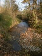 RuisEchet3site-3c61e