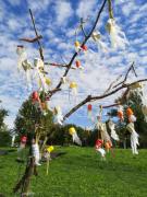 Larbre-a-meduses-Ecole-Jean-Raine-2025-MapO